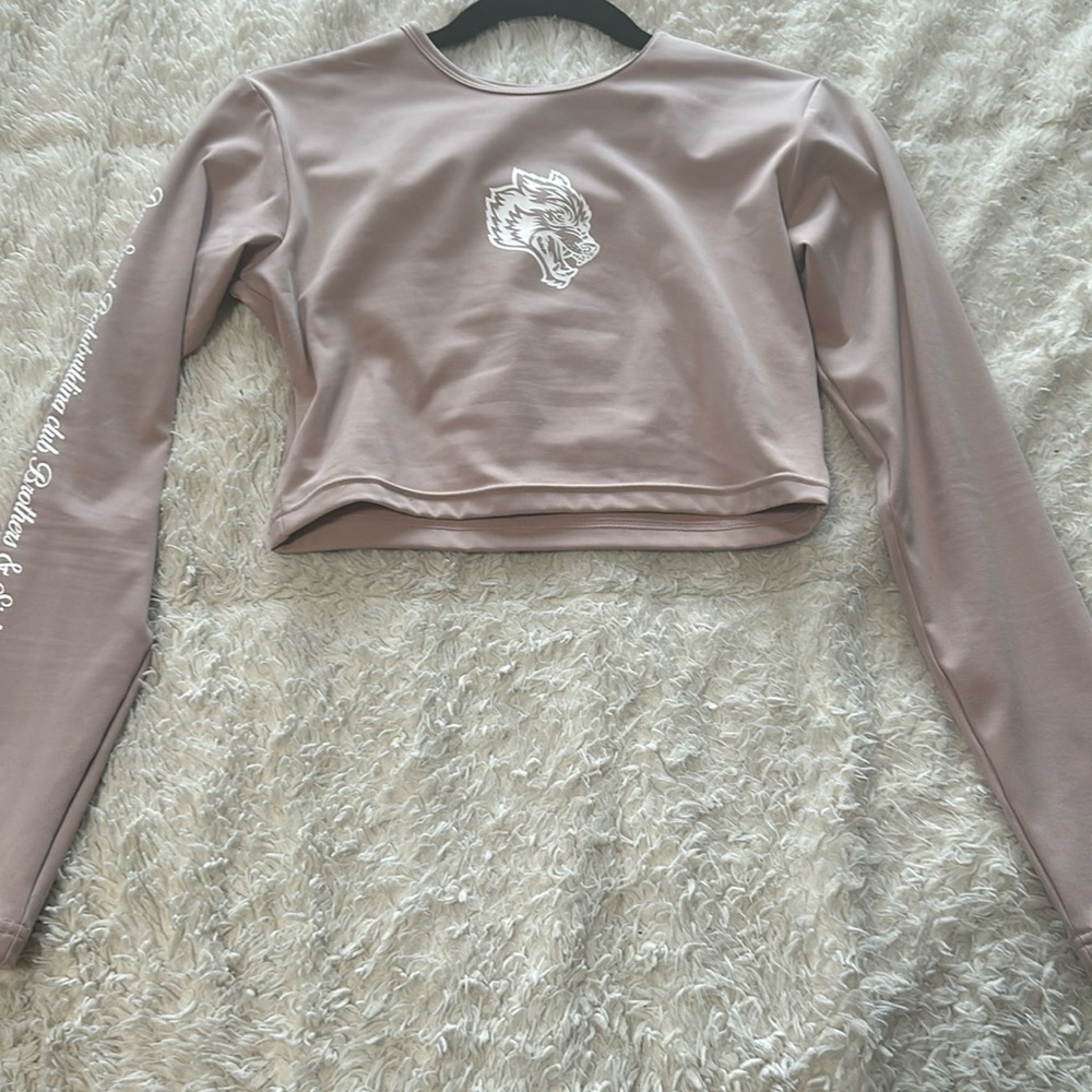 Barely Used Armor L/S Energy seamless top in Rose Water (DARC sport)